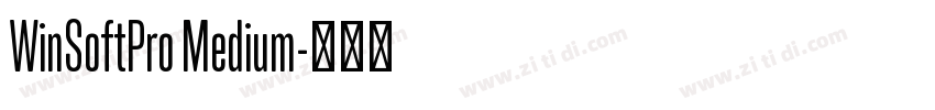 WinSoftPro Medium字体转换